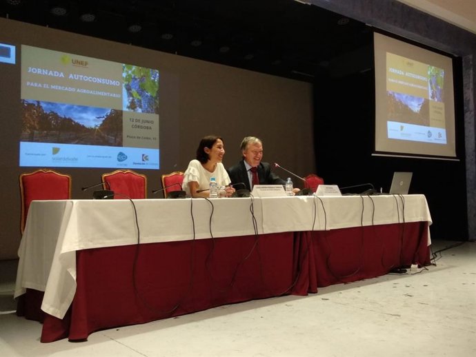 Córdoba.- La Diputación acoge un debate sobre el futuro del autoconsumo fotovoltaico en el mercado agroalimentario