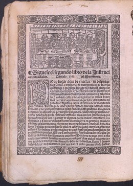 Cultura.- La Diputació de Castelló troba un llibre de Lluis Vives del segle XVI entre els seus fons documentals