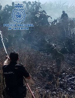 Granada.- Sucesos.- Cuatro agentes de Policía Nacional evitaron la propagación del incendio del Sacromonte del lunes