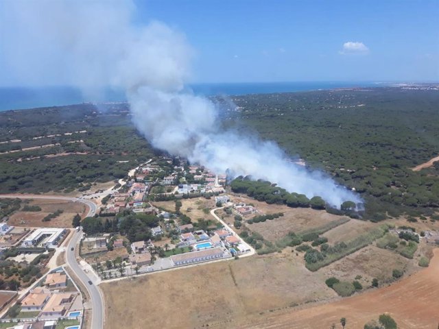 Cádiz.-Sucesos.- Declarado un incendio en el Paraje de Roque, en Conil