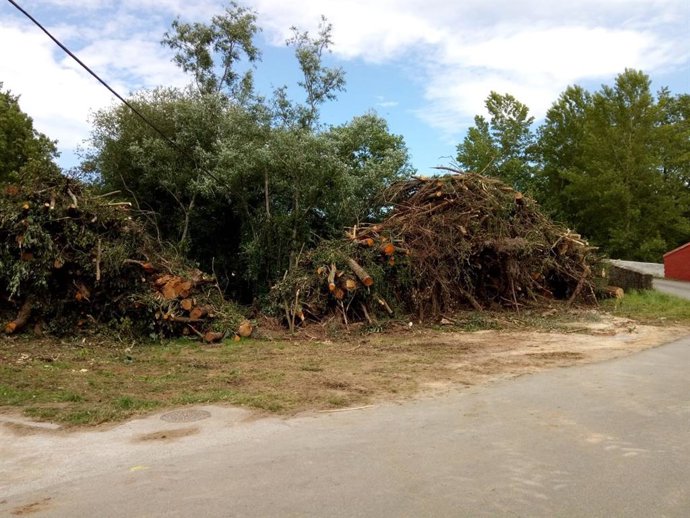 Villaviciosa.- Los trabajos de limpieza de los ríos Valdediós y Linares se desarrollarán hasta julio