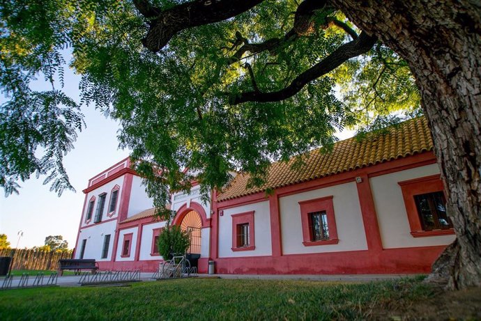 Sevilla.-Traumatólogos, fisioterapeutas y podólogos abordan en La Rinconada nuevas técnicas para tratar a deportistas