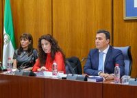 PSOE-A urge a la consejera de Igualdad a plantarse ante el "pacto de la testosterona contra las mujeres"