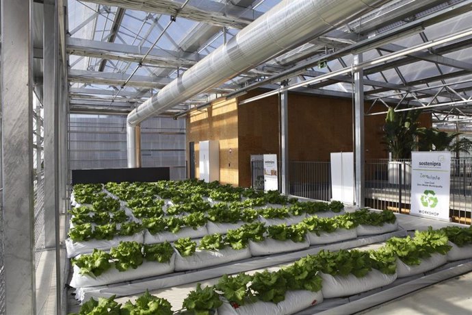 Un proyecto europeo ayuda en la instalación de invernaderos en las azotas de los edificios