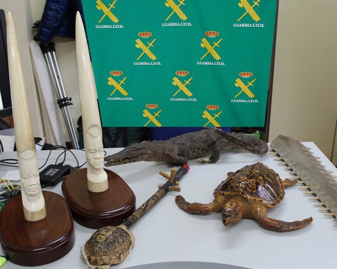 Guardia Civil investiga a 4 vecinos de Vigo por la venta ilegal de especies protegidas