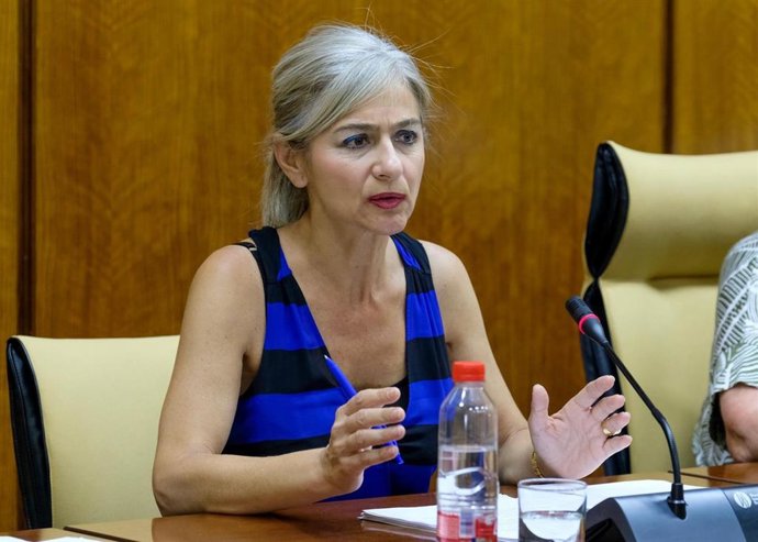 Junta de Andalucía priorizará el presupuesto de Memoria en exhumaciones e identificaciones y Vox le recuerda su pacto