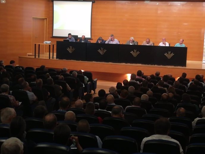 Jaén.- Cooperativas oleícolas muestran su unidad a la hora de lograr  medidas de autorregulación del sector