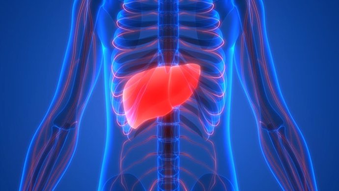 La dieta mediterránea y el ejercicio pueden revertir la esteatohepatitis no alcohólica