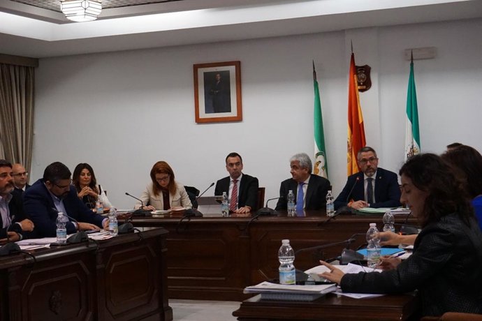 Pleno Ayuntamiento de Mijas enero 2019