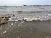 Ecologistas en Acción otorga sus 'Banderas Negras' al Mar Menor y la bahía de Portmán