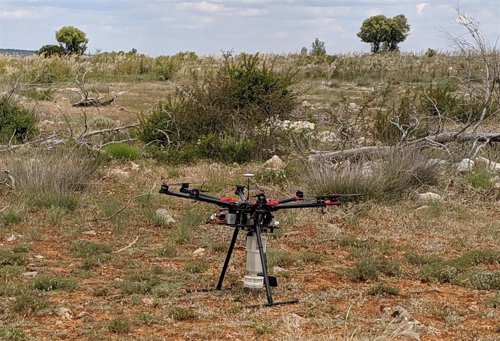 Semillas inteligentes y un dron reforestan el Parque Natural del Alto Tajo con 1,5 millones de árboles autóctonos
