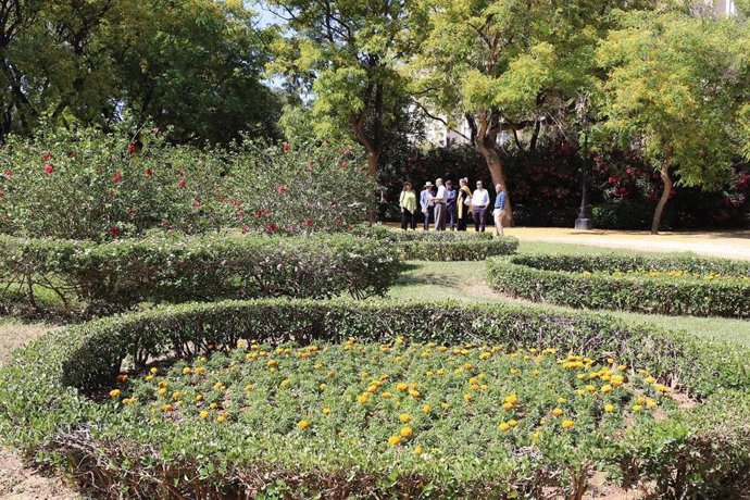 Sevilla.- La Glorieta del Canódromo del parque Amate incorpora seis plantaciones circulares de flores de temporada