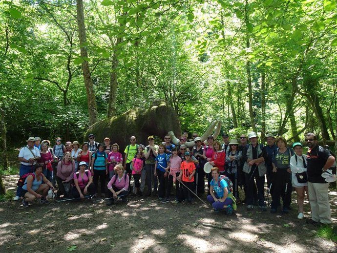 Bosques de Cantabria