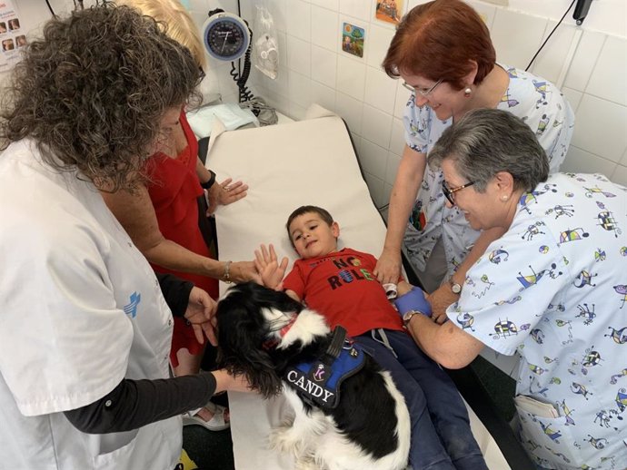 Un perro distrae a los niños en análisis y extracciones dentales en un CAP de Lleida