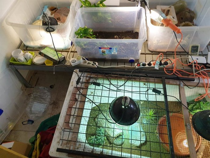 LA POLICÍA NACIONAL DETIENE A UNA PAREJA QUE REGENTA UNA GROW SHOP Y SE DEDICA AL CULTIVO DE LA MARIHUANA