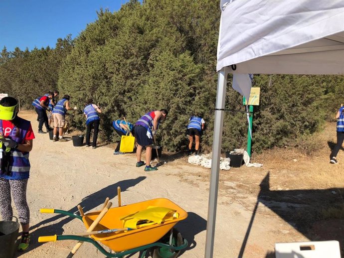 Casi 2.000 voluntarios limpian de "basuraleza" 68 espacios naturales de Andalucía