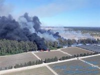 Declarado un incendio forestal en el paraje Arroyo de la Cañada de Almonte (Huelva)
