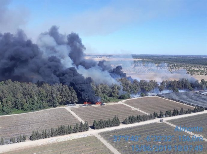 Huelva.- Sucesos.- Declarado un incendio forestal en el Arroyo de la Cañada de Almonte