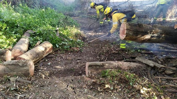 Huelva.- Sucesos.- Controlado el incendio del paraje Arroyo de la Cañada de Almonte
