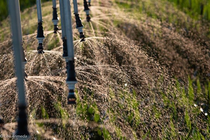 Zaragoza.- Una jornada técnica habla del proyecto Life Arimeda, en Ejea