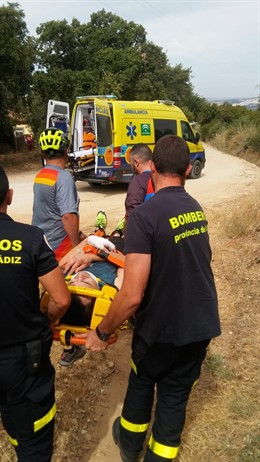 Cádiz.- Sucesos.- Trasladan al hospital a un ciclista accidentado en El Madroñal Las Abiertas, en El Bosque