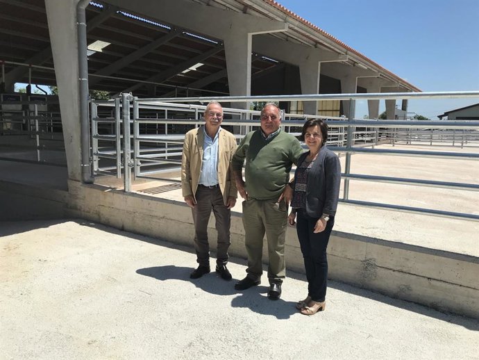 Rural.- El Principado anima a los criadores de la ternera 'casina' a impulsar una campaña de promoción propia