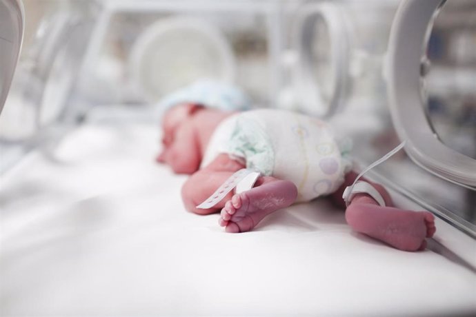 Investigadores aseguran que los prematuros que se alimentan de leche materna presentan un mayor desarrollo cerebral