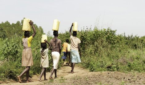 Cooperación y Desarrollo