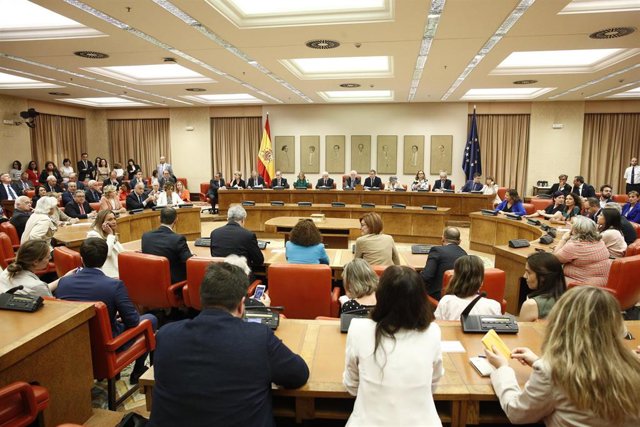 Acto de acatamiento a la Constitución de los Diputados electos al Parlamento Europeo