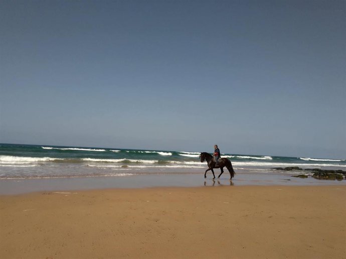 Playa, Limpieza de playas, arena, verano, turismo, Asturias, Caballos