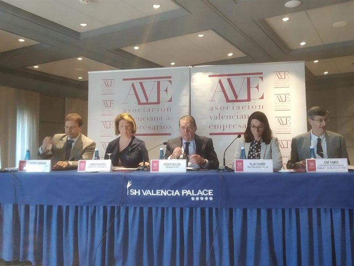 Boluda (AVE) confía en que el nuevo Consell mejore con la experiencia adquirida aunque tampoco lo tiene "muy claro"