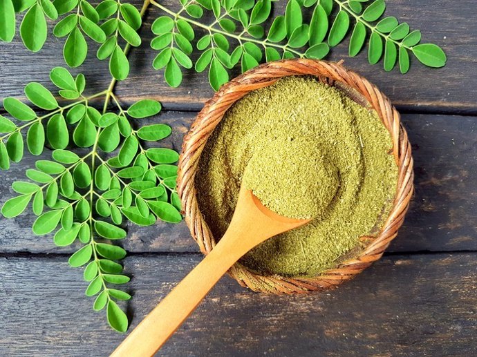 Contiene aminoácidos esenciales y alto valor nutricional, ¿qué es la moringa?