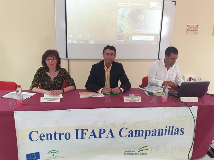Málaga.- La Junta destaca "el papel relevante" de Málaga en la producción de cítricos en Andalucía