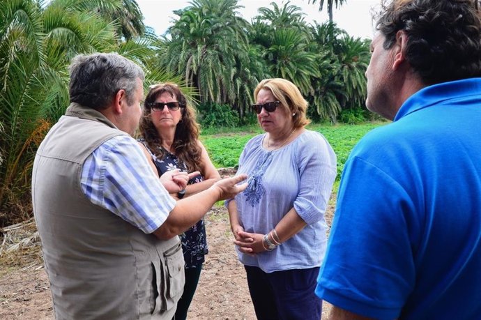 28A.- Podemos apuesta por más incentivos y precios justos para el sector primario