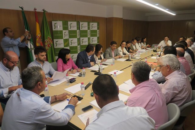Jaén.- MásJaén.- El Consejo Provincial del Aceite aprueba diferentes medidas para contribuir a elevar los precios