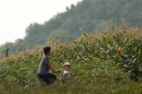 Seúl enviará 50.000 toneladas de arroz a Corea del Norte a través del PMA ante la falta de alimentos