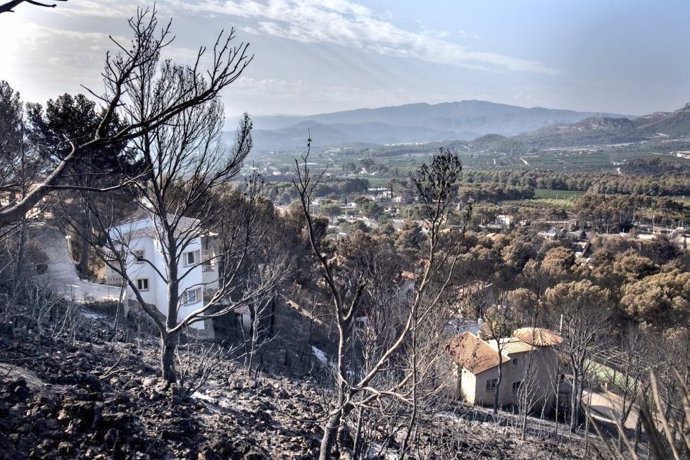 Valencia.- El Gobierno acaba la restauración hidrológico-forestal y medioambiental tras el incendio de Llutxent 