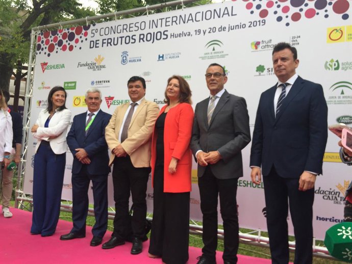 Crespo insiste en el apoyo de la Junta al aceite para que el Gobierno pida a la 