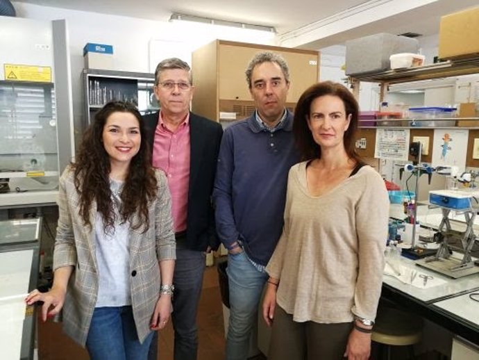 Sevilla.- Investigadores de la US desarrollan biomembranas con cáscaras de crustáceos para mejorar el análisis en orina