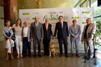 Asociaciones de discapacitados esperan que la Generalitat dé un "impulso decisivo" a la accesibilidad