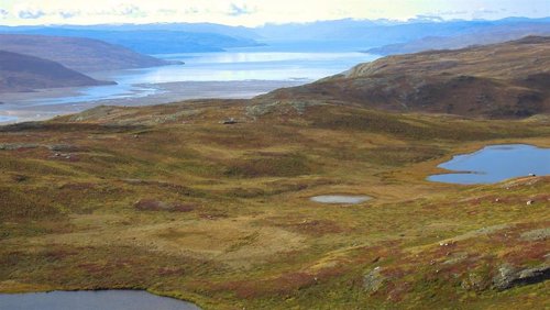 Prueban reacción ambiental rápida en Groenlandia por cambios del clima