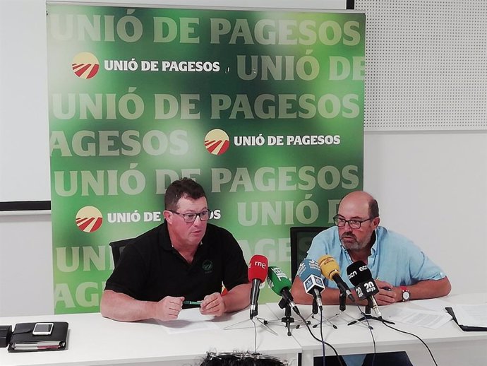 Agro.- Unió de Pagesos calcula que Catalunya necesita un 32% más temporeros que en 2018
