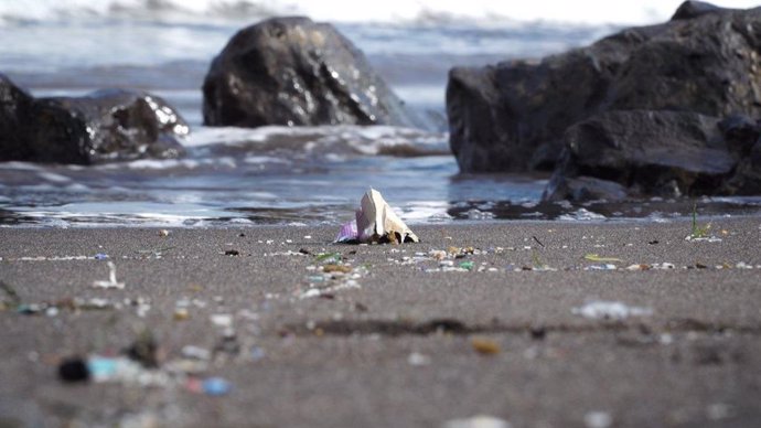 Casi el 60% de las playas canarias, afectadas por el plástico, según un estudio de Loro Parque Fundación
