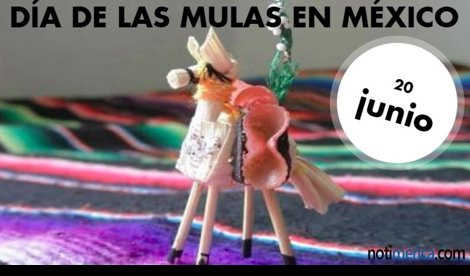 Sociedad