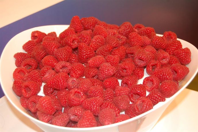 La temporada de frambuesa llega a su fin con un 13,5% más de producto respecto a