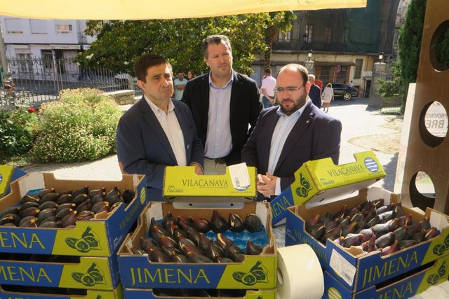 Jaén.- MásJaén.- La VII Muestra Provincial de la Breva de Jimena dará a conocer esta fruta en diez municipios jiennenses