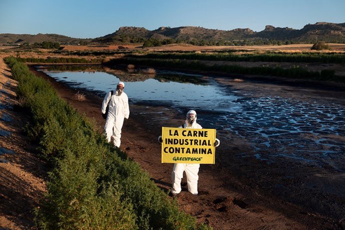 Greenpeace denuncia en una granja porcina industrial de Albacete la contaminación ambiental por excrementos de cerdos