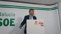PSOE-A lamenta que Cs, PP y Vox "estén tirando cada uno por un lado" de Granada "hasta que la rompan"