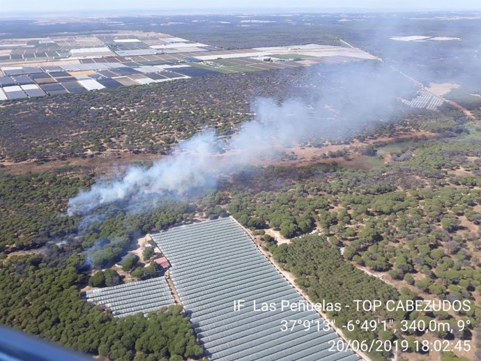 Huelva.- Sucesos.- Declarado un incendio forestal en el paraje de Las Peñuelas de Moguer