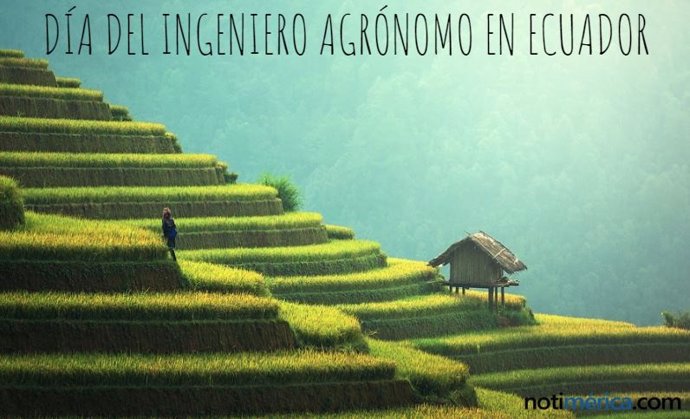 21 De Junio: Día Del Ingeniero Agrónomo En Ecuador, ¿Qué Se Celebra Durante Esta Jornada?